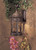 Sage Ridge One Light Wall Mount (8282-A61)