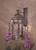 Sage Ridge One Light Wall Mount (8283-A61)