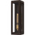 Quoizel - AVN8405WT - One Light Outdoor Lantern - Avon - Western Bronze