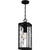 Balchier One Light Outdoor Hanging Lantern (BCR1907MBK)