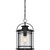 Quoizel - BKR1910K - One Light Outdoor Hanging Lantern - Booker - Mystic Black