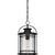 Booker One Light Outdoor Hanging Lantern (BKR1910K)