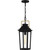 Quoizel - BUK1907MBK - One Light Outdoor Hanging Lantern - Buckley - Matte Black