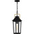 Buckley One Light Outdoor Hanging Lantern (BUK1907MBK)