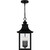 Chancellor Three Light Outdoor Hanging Lantern (CCR1910K)