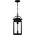 Clifton One Light Outdoor Hanging Lantern (CLI1909EK)