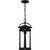 Clifton One Light Outdoor Hanging Lantern (CLI1909EK)