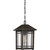 Quoizel - CPT1910PN - One Light Outdoor Hanging Lantern - Cedar Point - Palladian Bronze