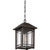 Cedar Point One Light Outdoor Hanging Lantern (CPT1910PN)