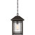 Cedar Point One Light Outdoor Hanging Lantern (CPT1910PN)
