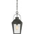 Carriage One Light Outdoor Hanging Lantern (CRG1910MB)