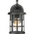manufacturer_finish:Earth Black