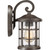 manufacturer_finish:Palladian Bronze