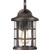 manufacturer_finish:Palladian Bronze