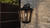 Darius One Light Outdoor Wall Lantern (DRS8411EK)