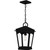 Quoizel - HUK1510EK - One Light Mini Pendant - Huck - Earth Black