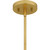 Liza Four Light Pendant (LIZ2820GFL)