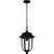 Quoizel - MUL1909MBK - One Light Outdoor Hanging Lantern - Mulberry - Matte Black
