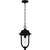 Mulberry One Light Outdoor Hanging Lantern (MUL1909MBK)