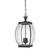 Quoizel - OAS1909Z - Three Light Outdoor Hanging Lantern - Oasis - Medici Bronze