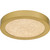 Quoizel - OSTA1708BRG - LED Flush Mount - Outskirts - Brushed Gold