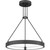 Quoizel - PCDRU2824PCI - LED Pendant - Drury - Pewter Cast Iron