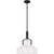 Quoizel Pendant Two Light Pendant (QP6194OZ)