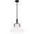 Quoizel Pendant Two Light Pendant (QP6194OZ)
