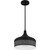 manufacturer_finish:Matte Black|manufacturer_glass:Metal