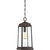 Quoizel - RNL1508WT - One Light Mini Pendant - Ravenel - Western Bronze