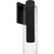Sawyer LED Outdoor Wall Lantern (SAW8105MBK)