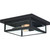 Quoizel - WVR1312EK - Two Light Flush Mount - Westover - Earth Black
