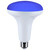 Light Bulb (S11105)