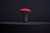 Light Bulb (S11105)