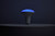 Light Bulb (S11105)