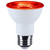 Light Bulb (S11106)