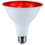 Light Bulb (S11108)