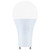 Light Bulb (S12148)