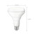 Light Bulb (S11256)