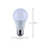 Light Bulb (S12171)