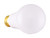 Light Bulb (S11311)