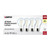 Light Bulb (S12461)