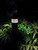 Light Bulb (S13161)