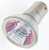 Satco - S1954 - Light Bulb - Clear