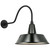manufacturer_finish:Matte Black|manufacturer_glass:16 Green Bowers Shade