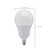 Light Bulb (S21801)
