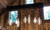 Light Bulb (S22430)