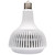 Light Bulb (S23112)