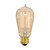 Light Bulb (S2413)