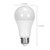 Light Bulb (S28651)